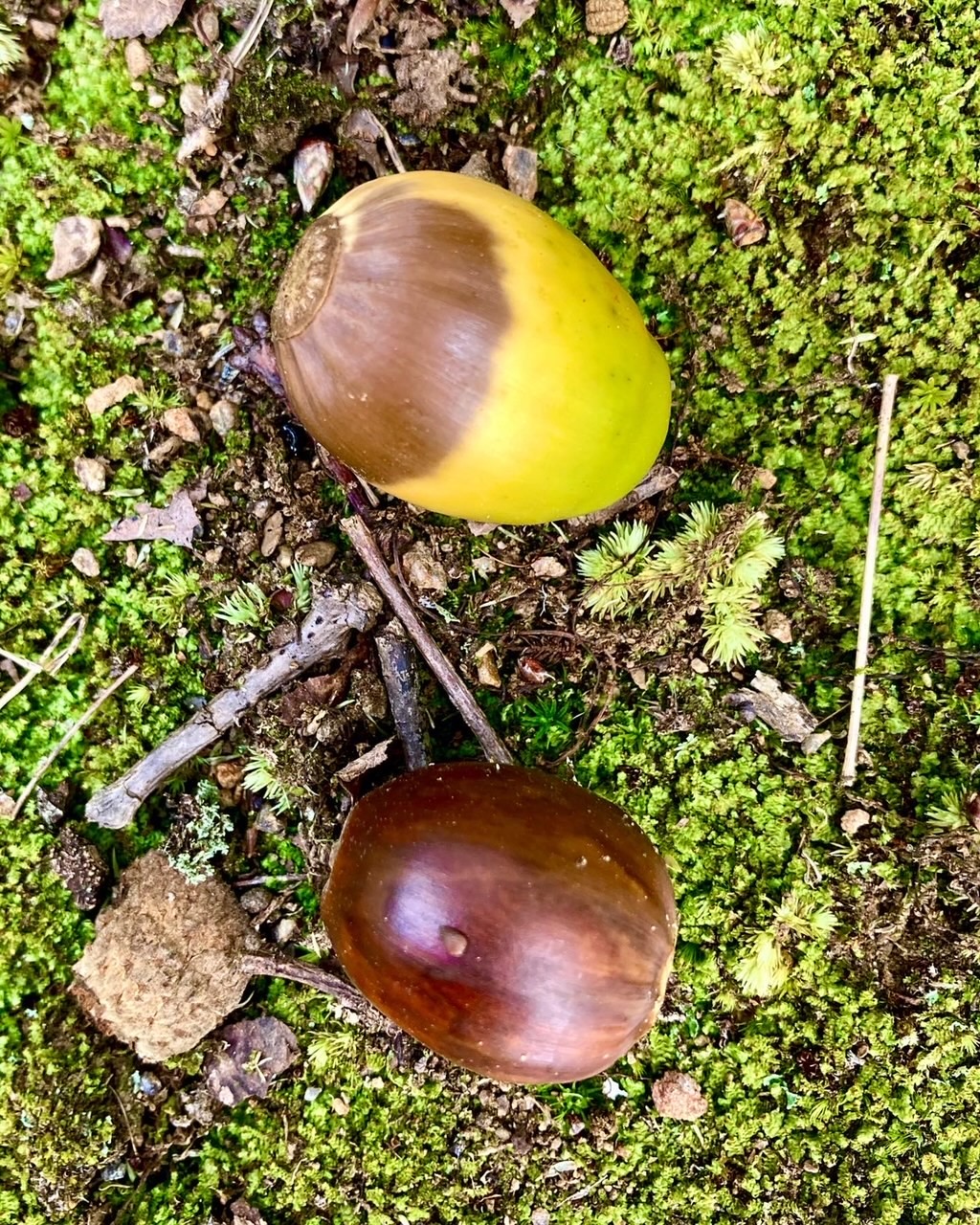 The wheel(er) considers&nbsp;turning