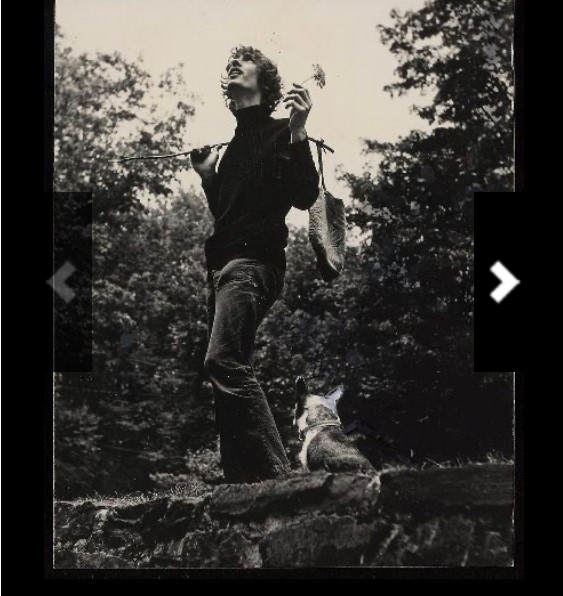 H.D., tarot, & occluded vistas