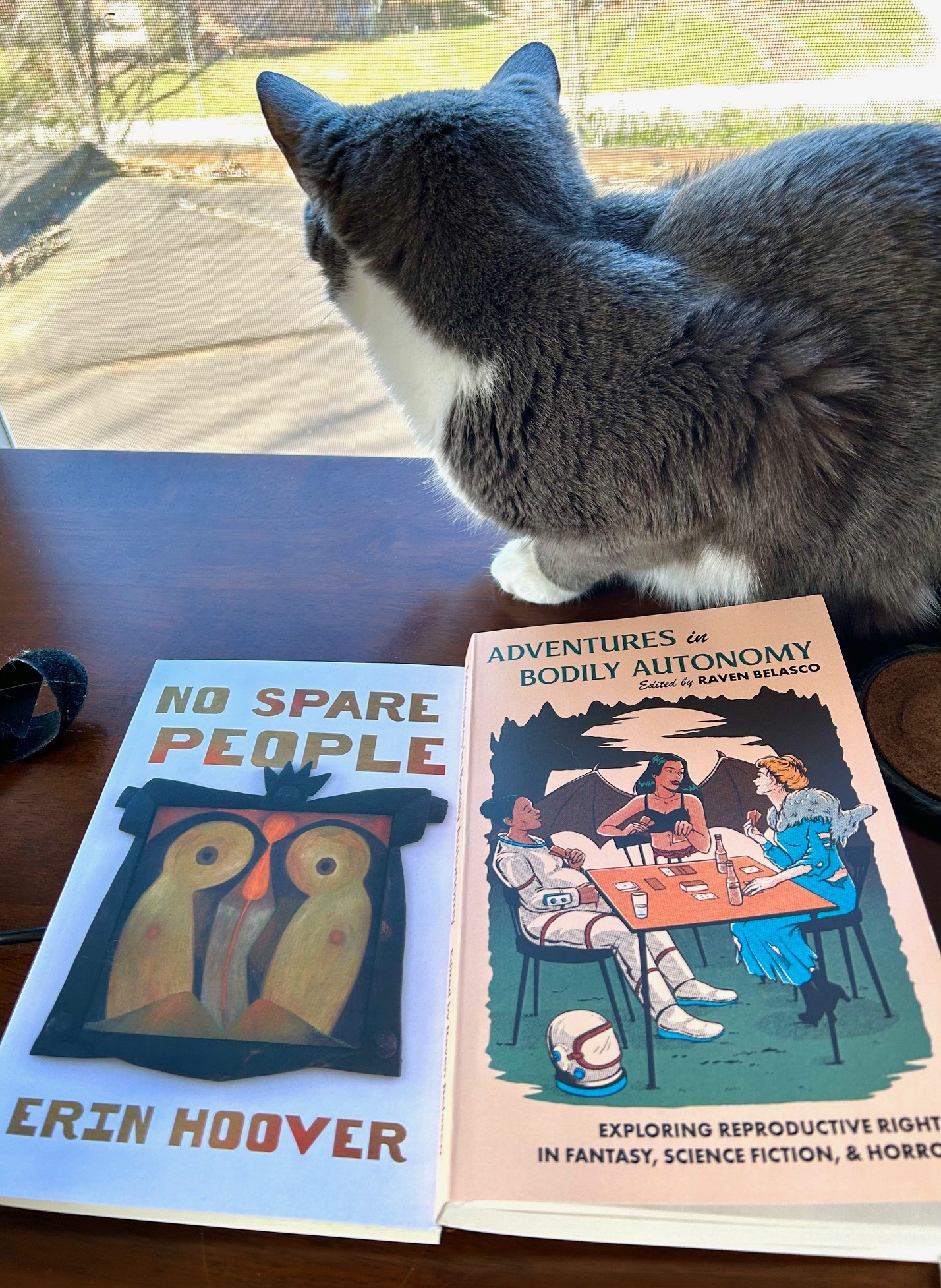 Some indie books for your list