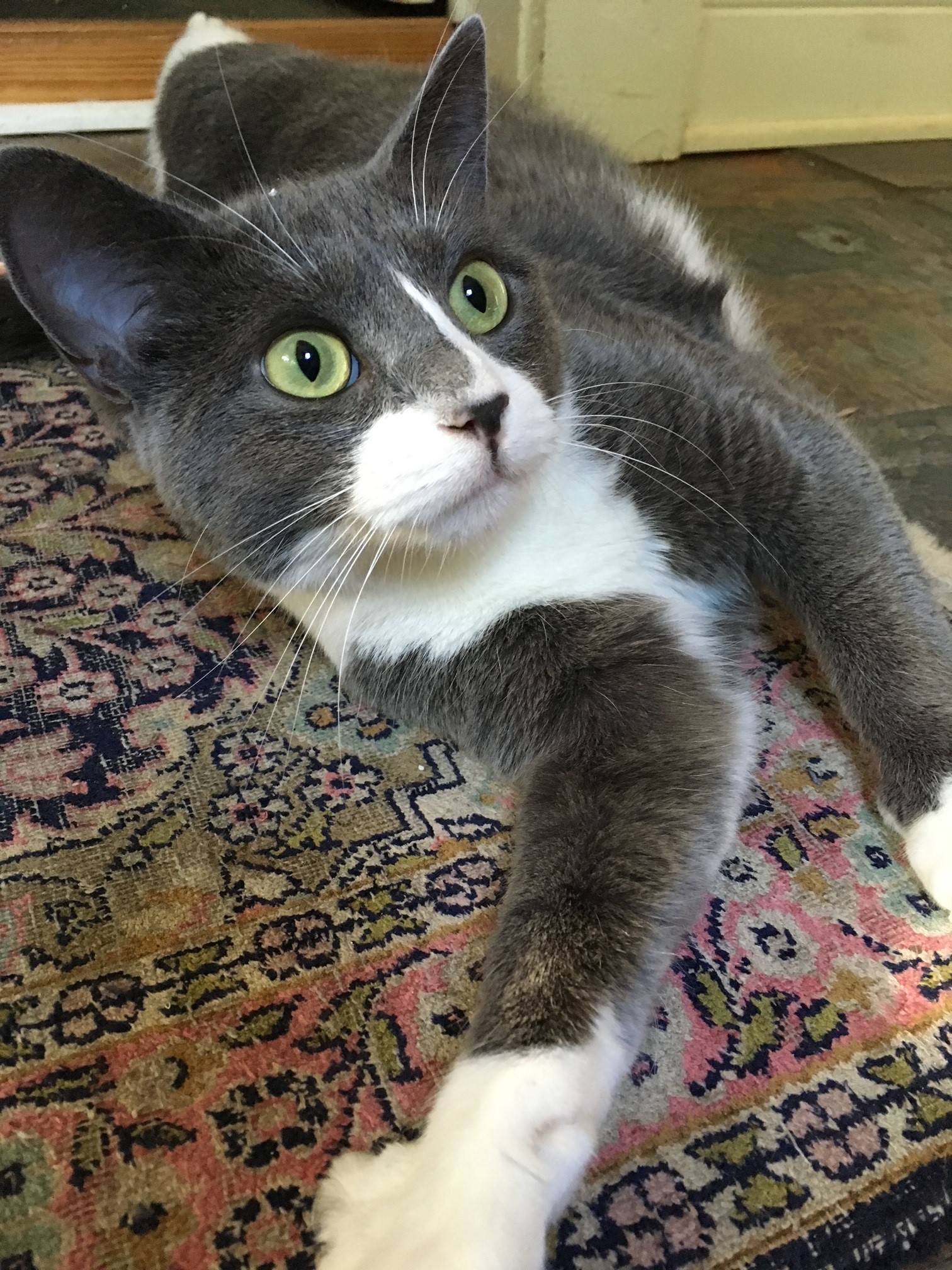 Reading through change