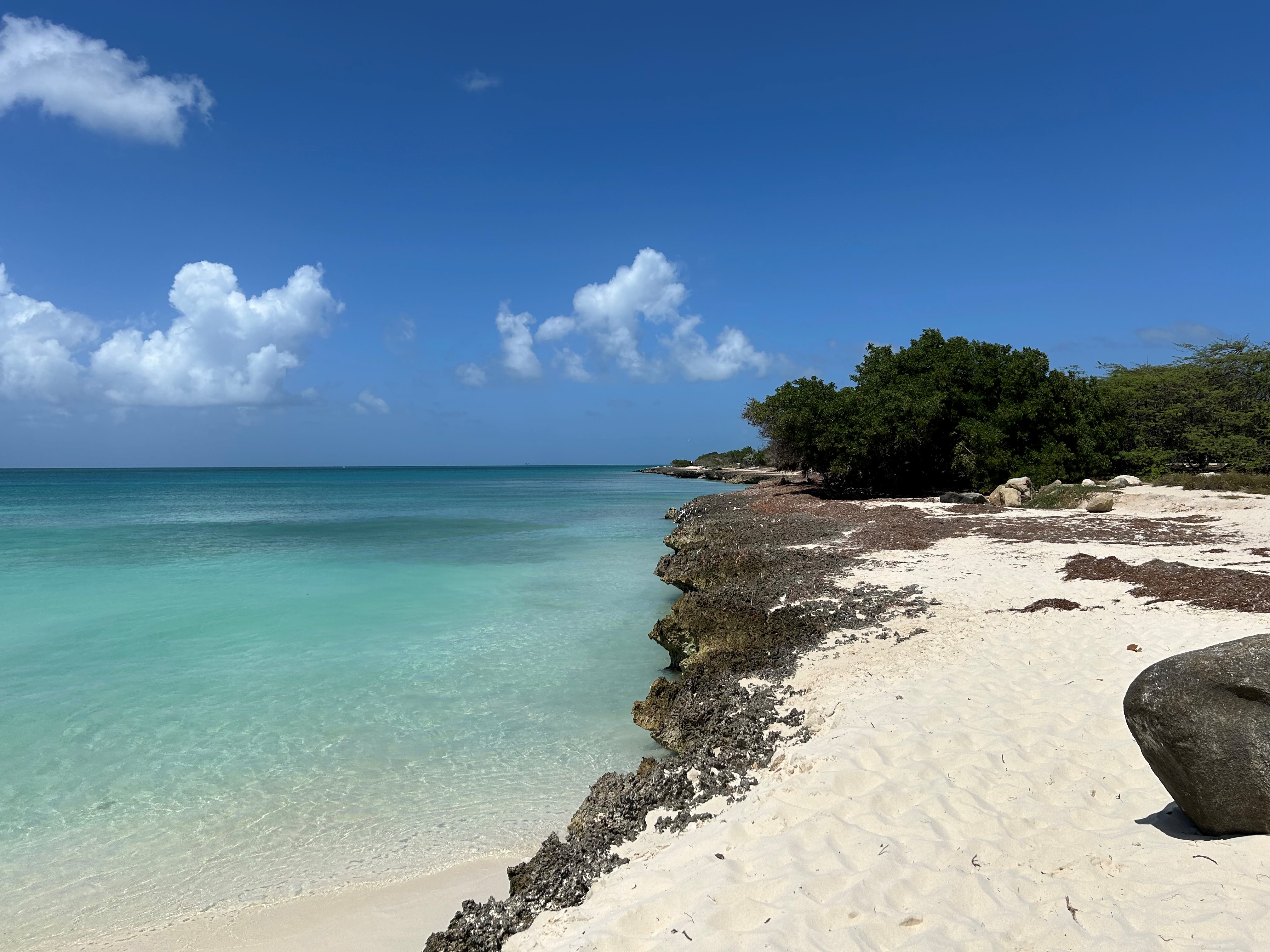 Poetry & music & feeling better