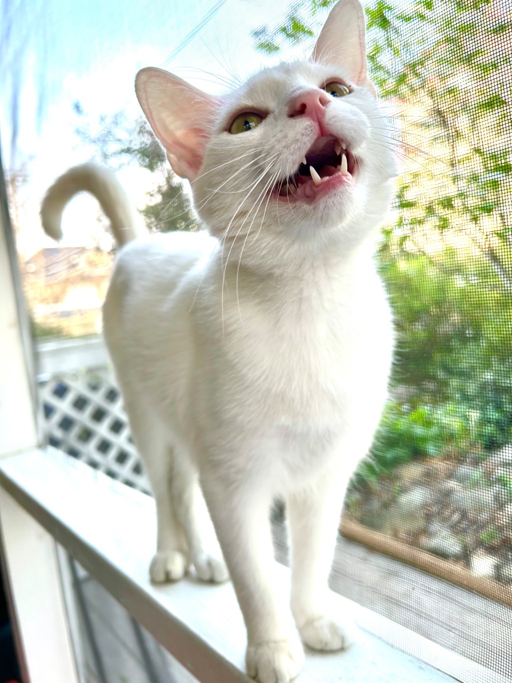 So much poetry&nbsp;month