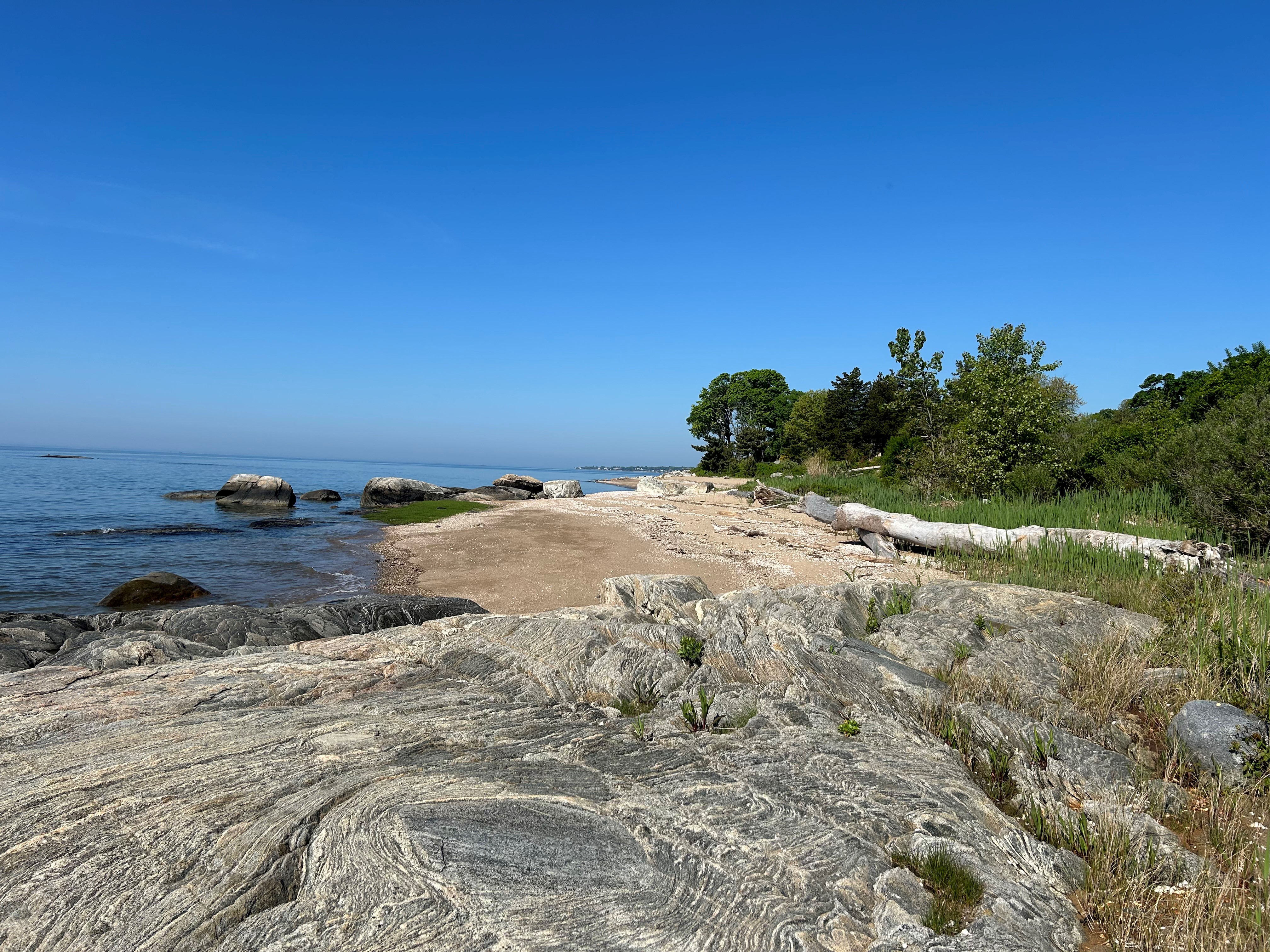 The conference program and underprogram