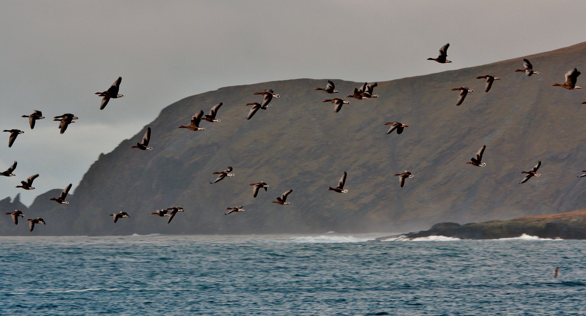 Calendaring, with palpitations