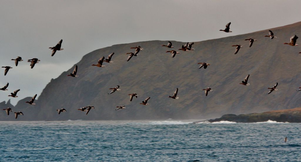 Calendaring, with palpitations