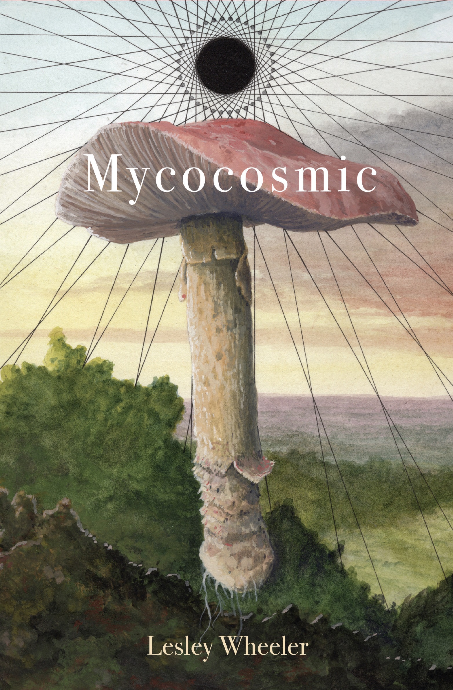 Mycocosmic cover & pre-order link!!!