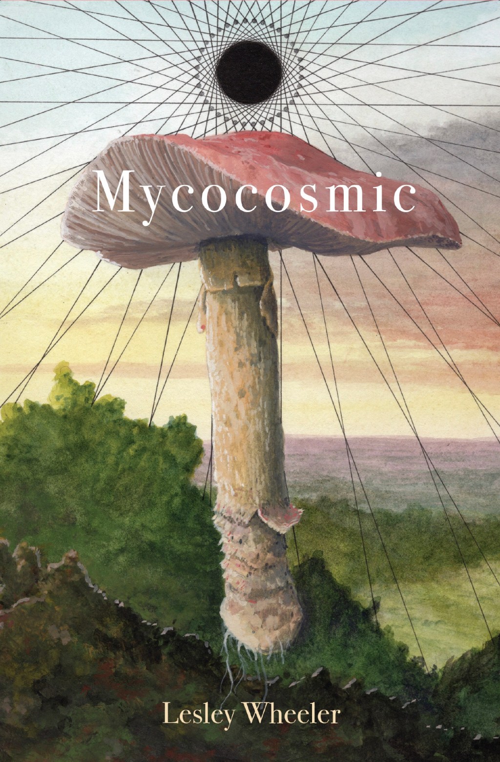 Mycocosmic cover & pre-order&nbsp;link!!!